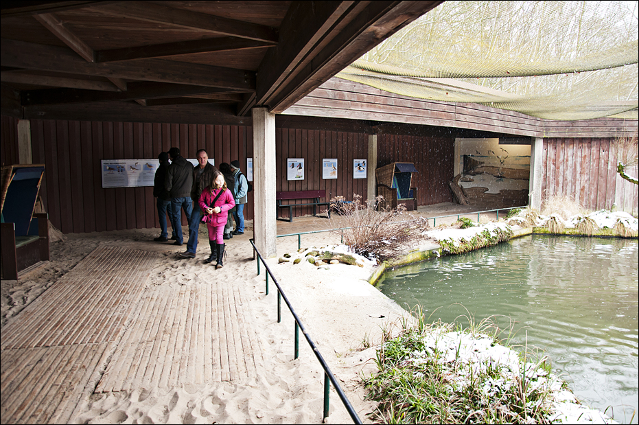 Sea bird aviary at Münster