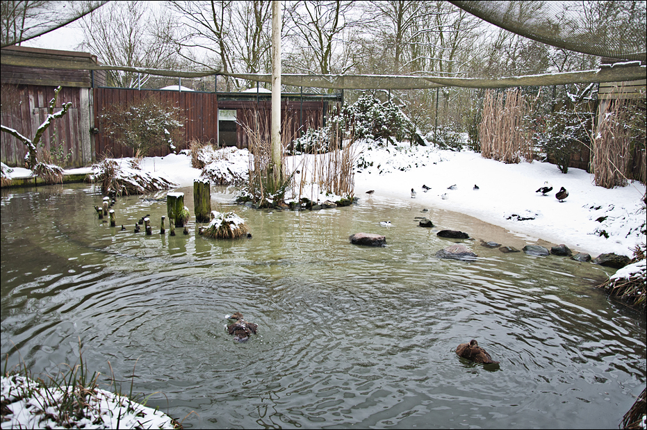 Sea bird aviary at Münster