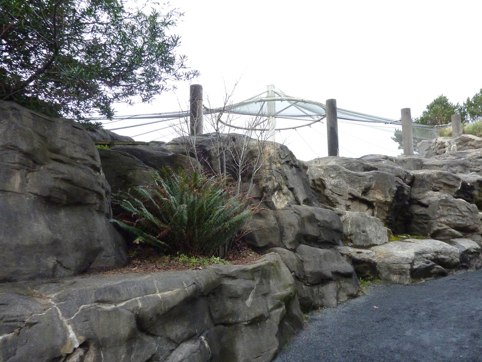 Sea Bird Aviary - Exterior