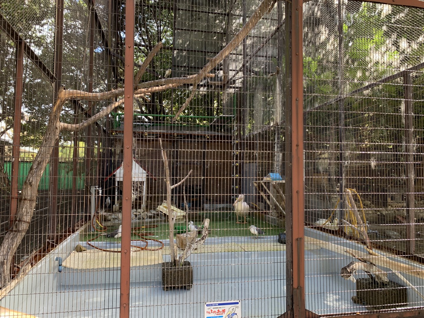 Sea Bird Aviary (Himeji City Zoo)