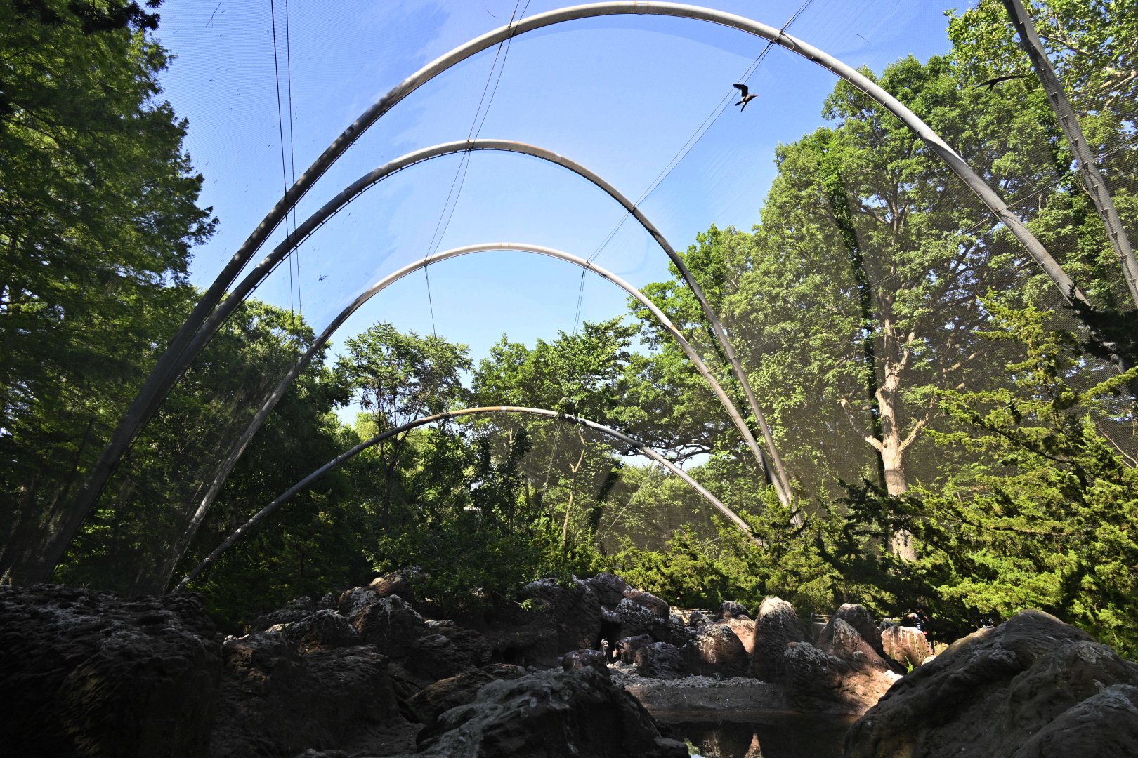 Sea Bird Aviary - Overview