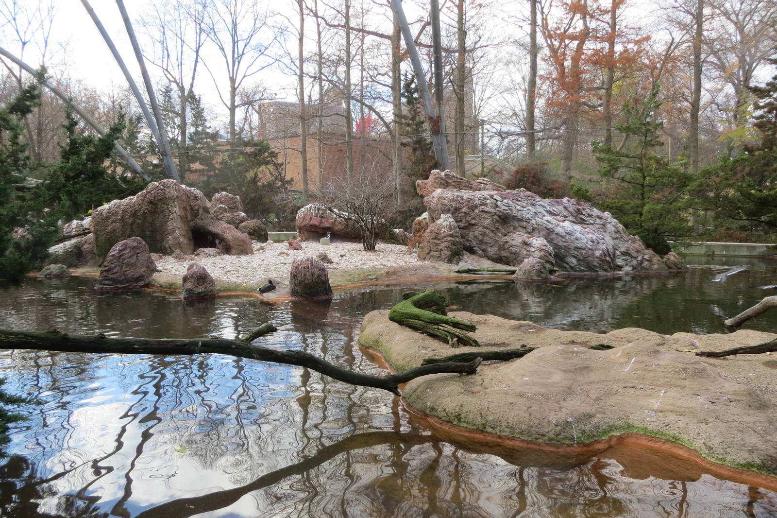 Sea Bird Colony Aviary 031215