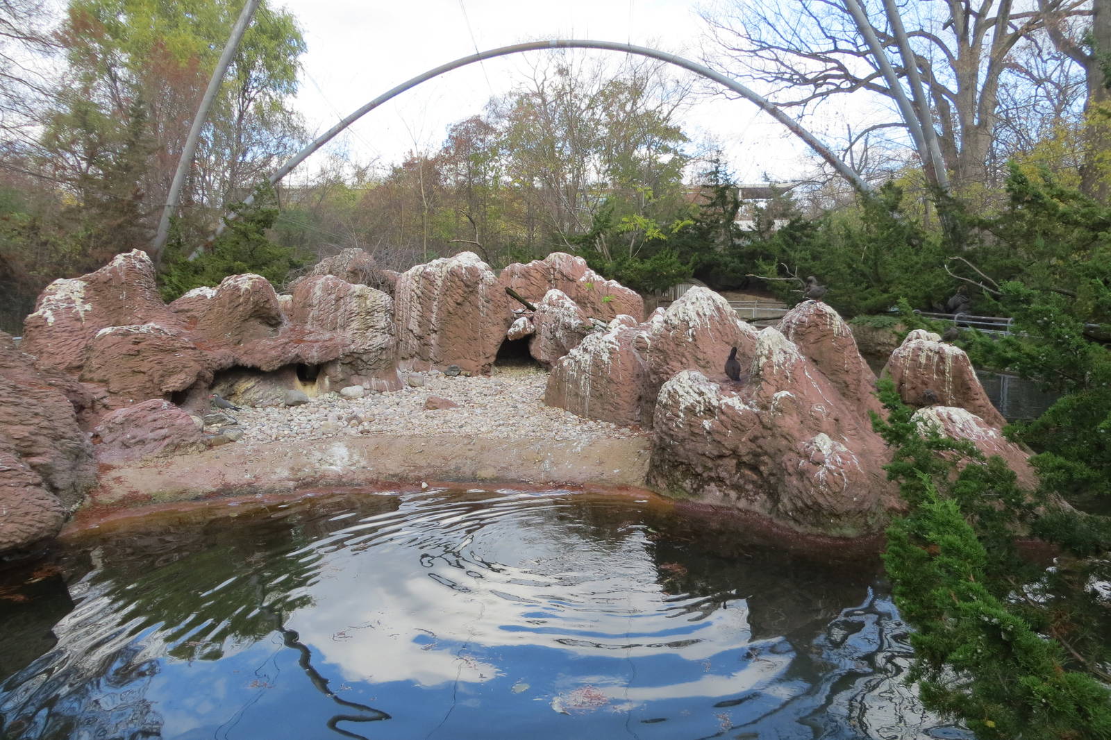 Sea Bird Colony Aviary 031215