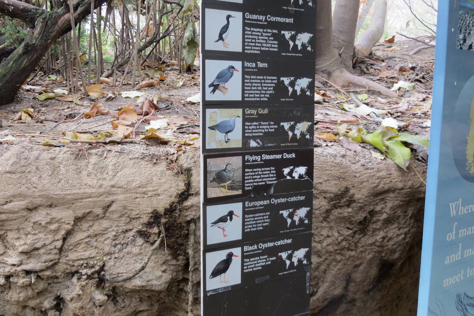 Sea Bird Colony Sign 031215