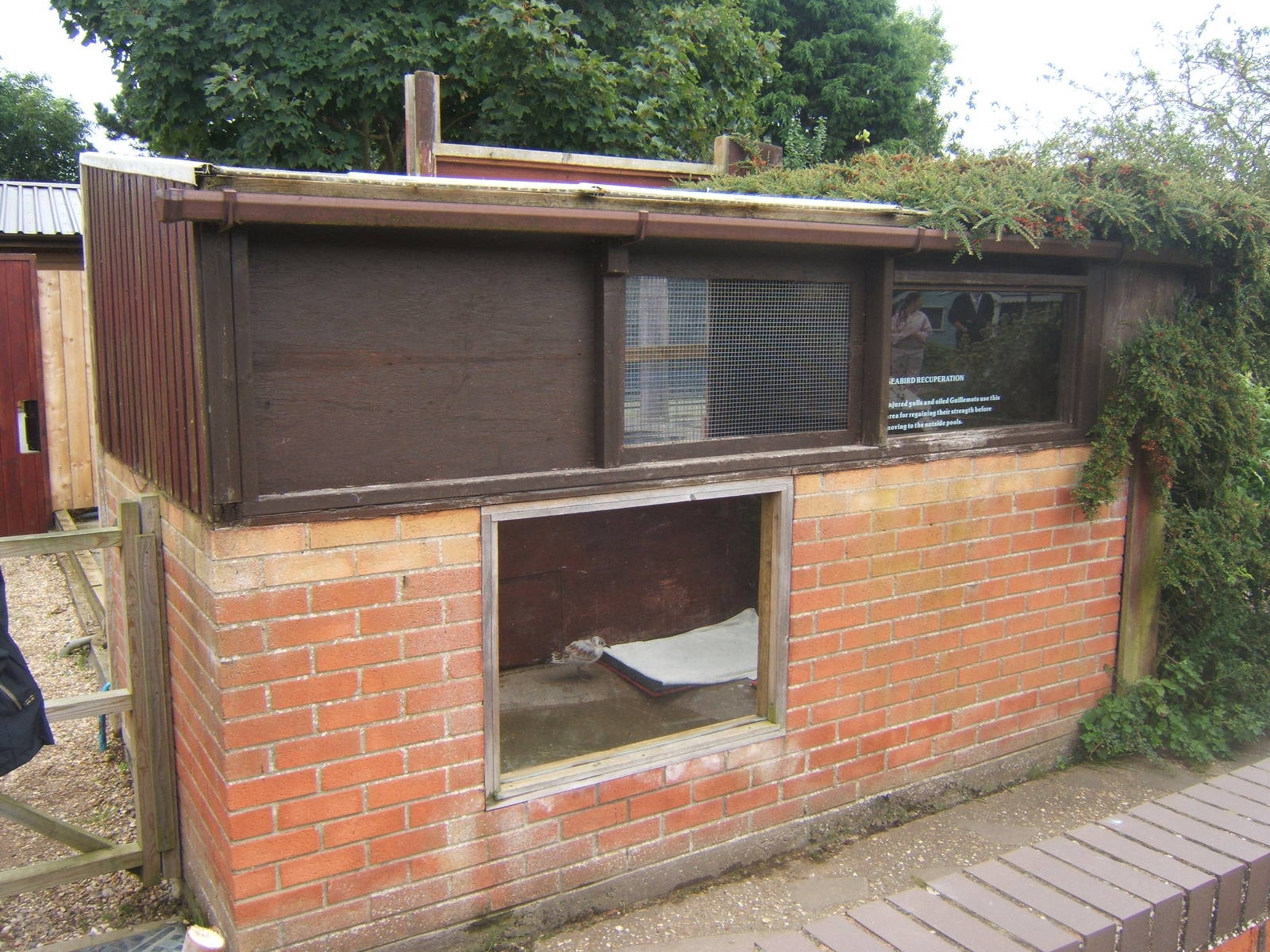 Sea Bird Recuperation Building