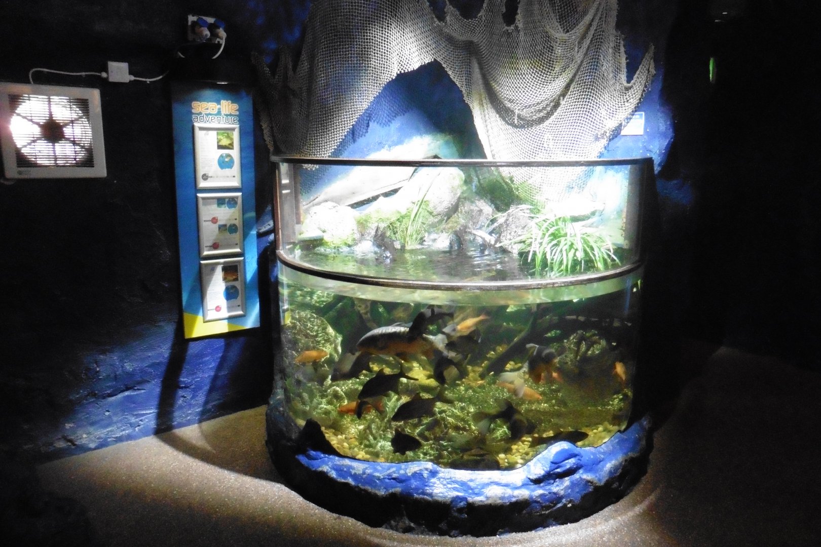 Sea Cavern Native Freshwater