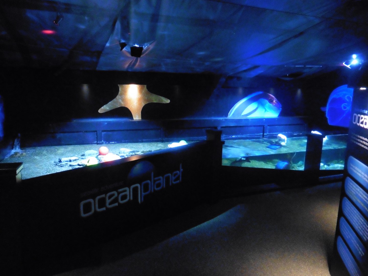 Sea Cavern -Native Shores