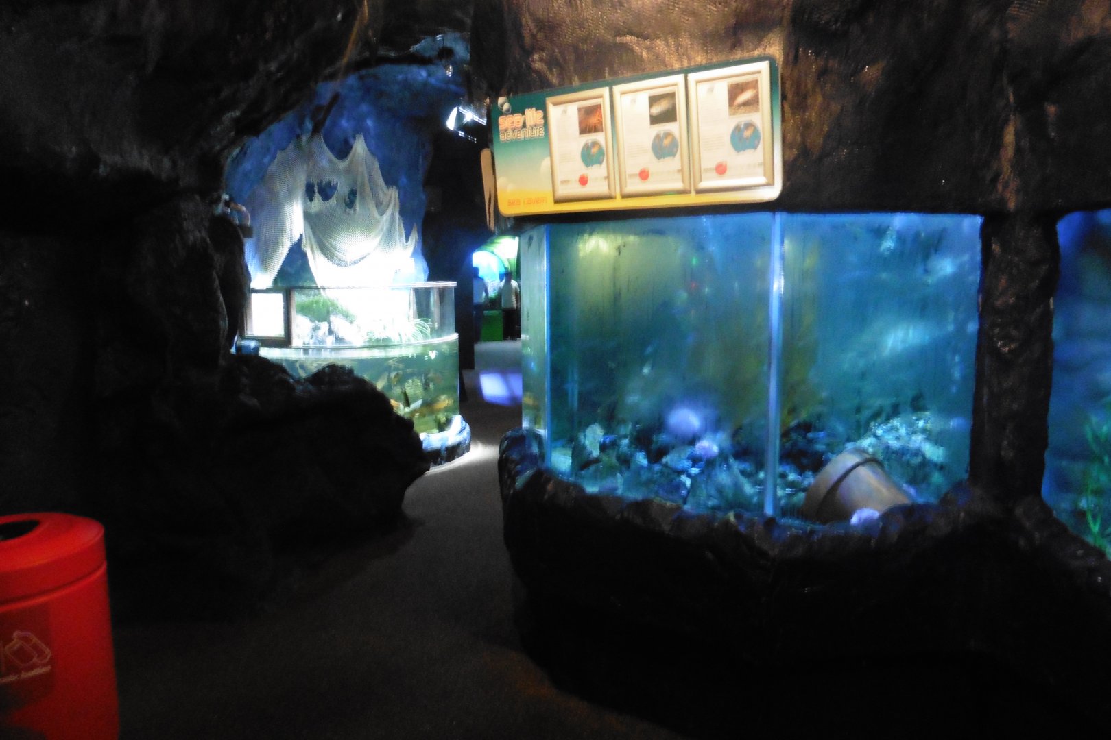 Sea Cavern Shoreline Tanks