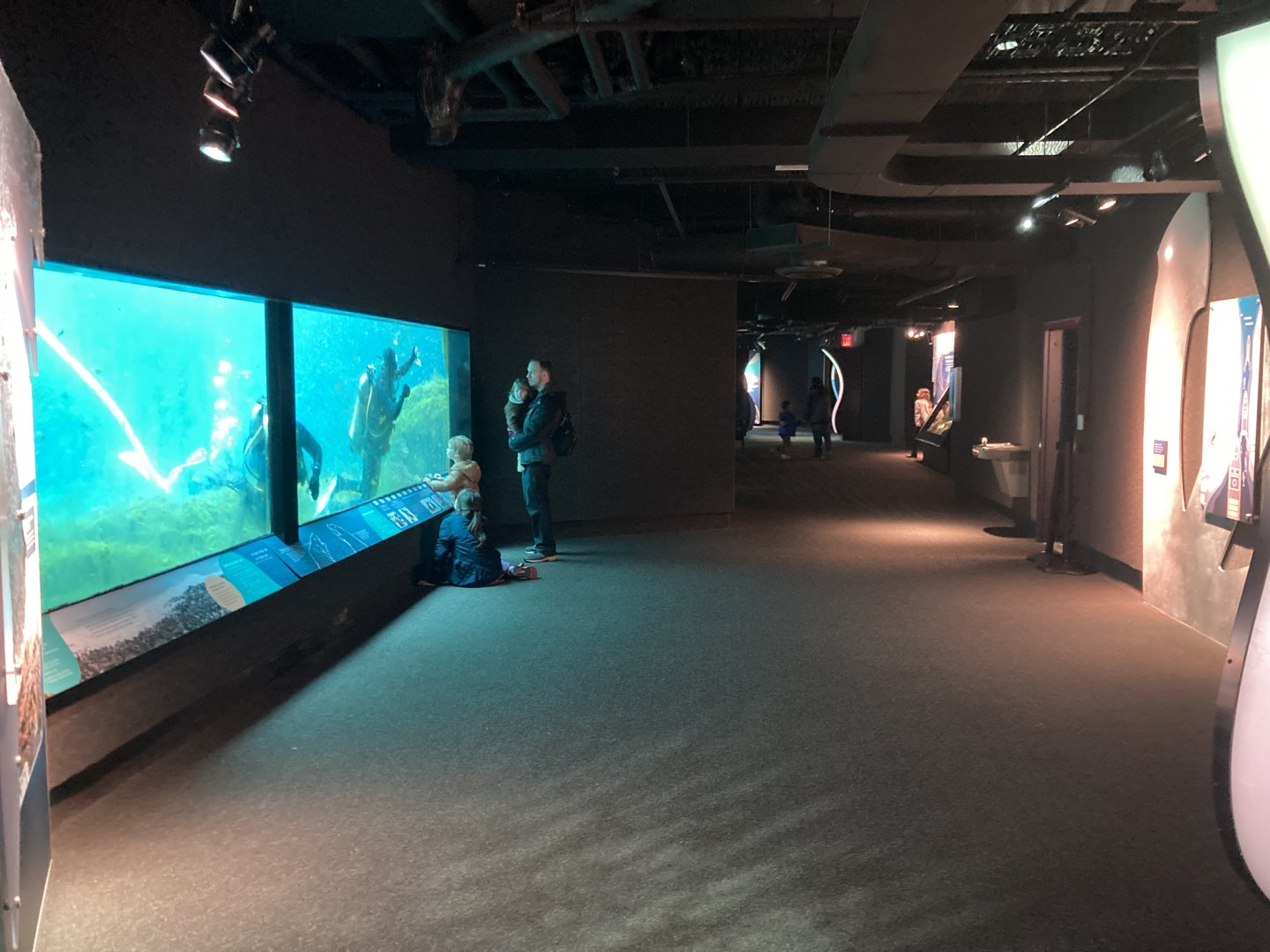 Sea Change (underwater viewing for pinnipeds, sea otters, and penguins)