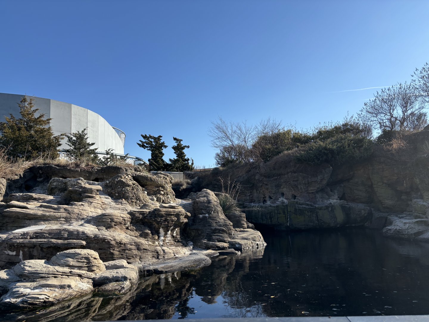 Sea Cliffs- African Penguin Exhibit