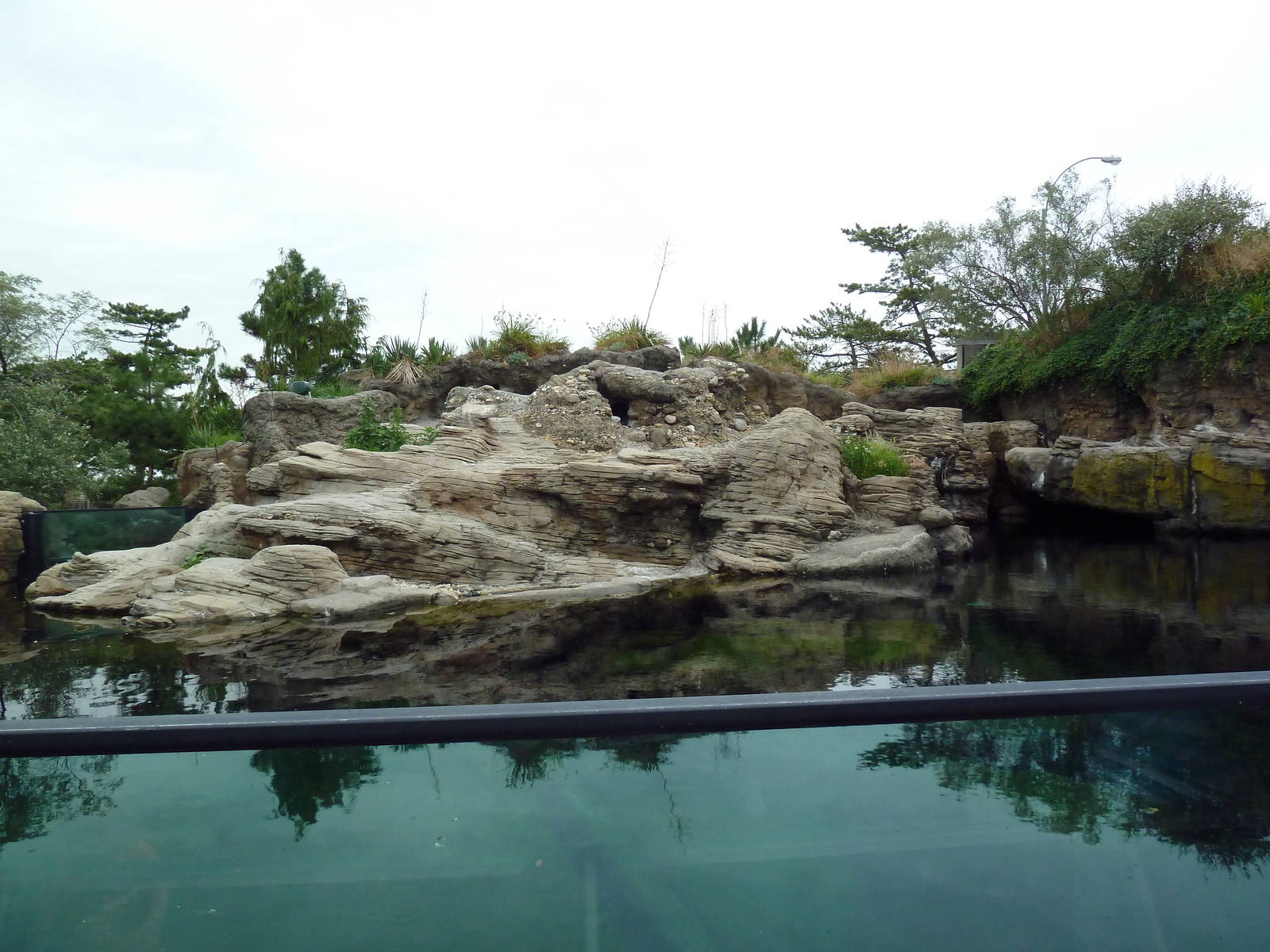 Sea Cliffs - Black-Footed Penguin Exhibit