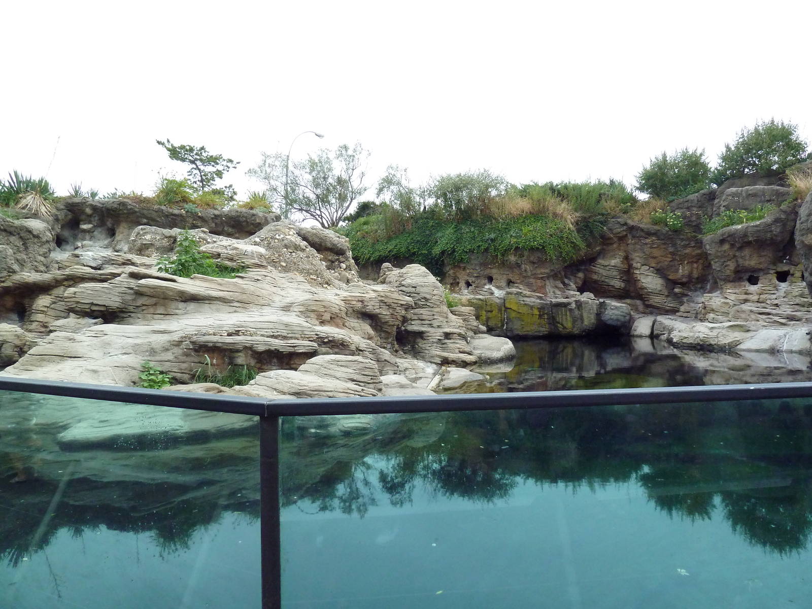 Sea Cliffs - Black-Footed Penguin Exhibit