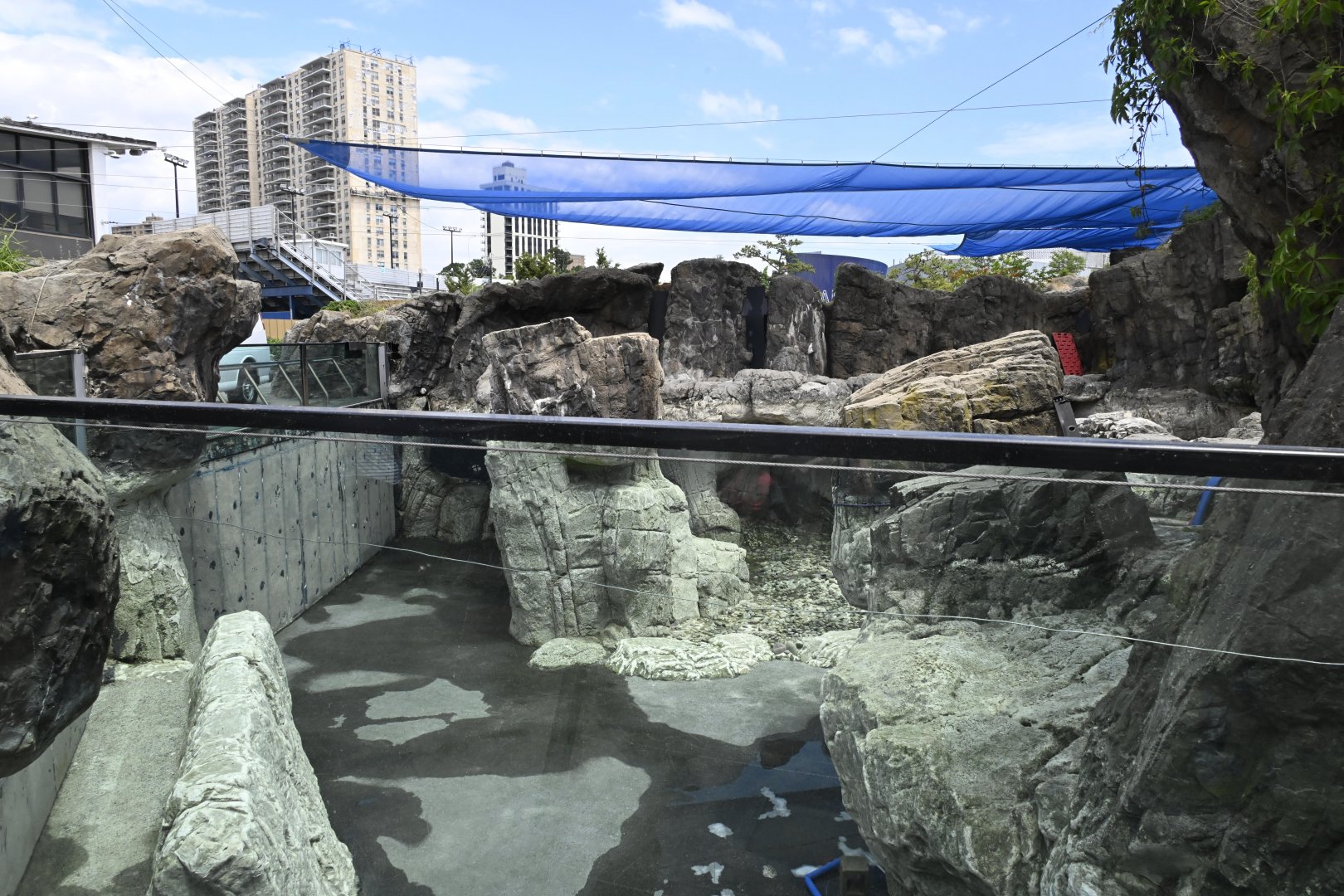 Sea Cliffs - Drained Pinniped Exhibit