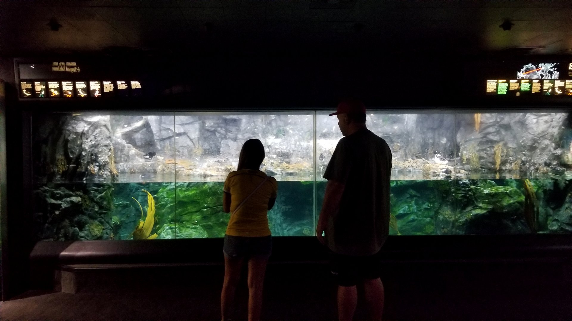 Sea Cliffs exhibit