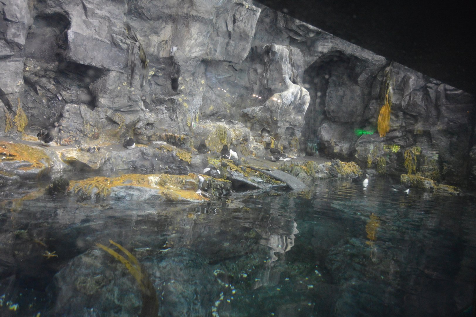 Sea Cliffs Exhibit