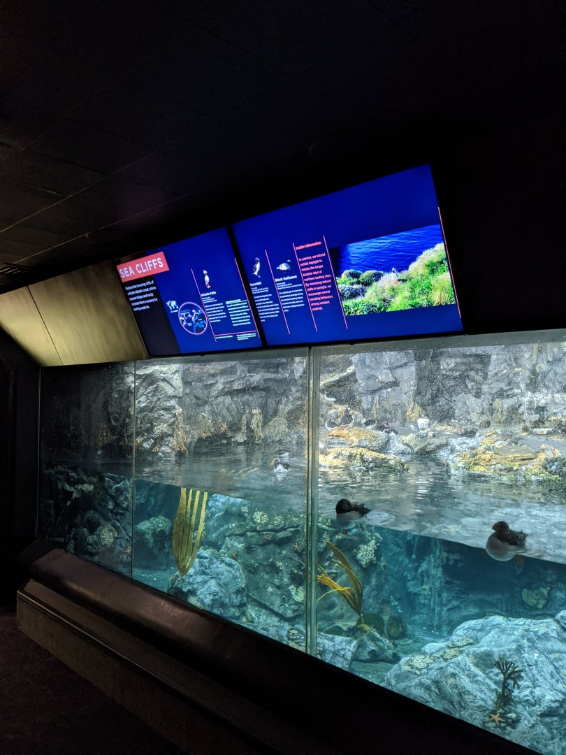 Sea Cliffs - North Atlantic to the Pacific