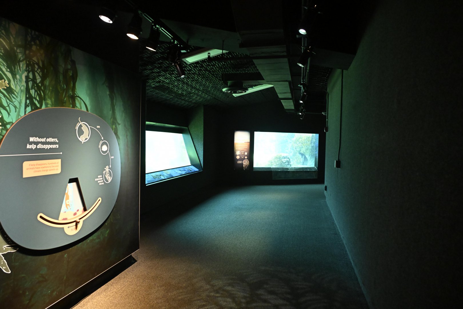 Sea Cliffs - Underwater Viewing Area for the Sea Otter (Enhydra lutris) Exhibit