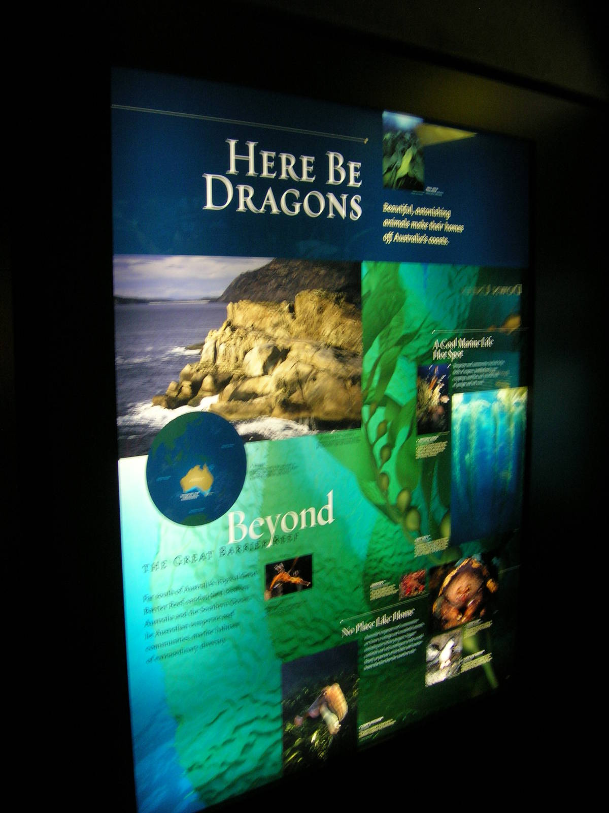 Sea Dragon Exhibit