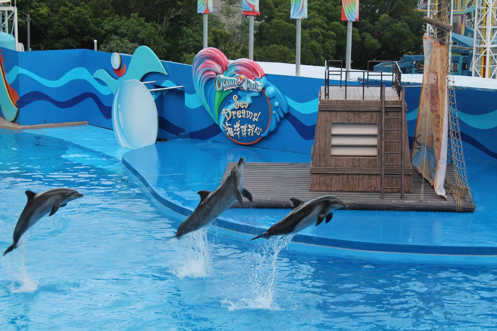 Sea Dreams Show - June 2013