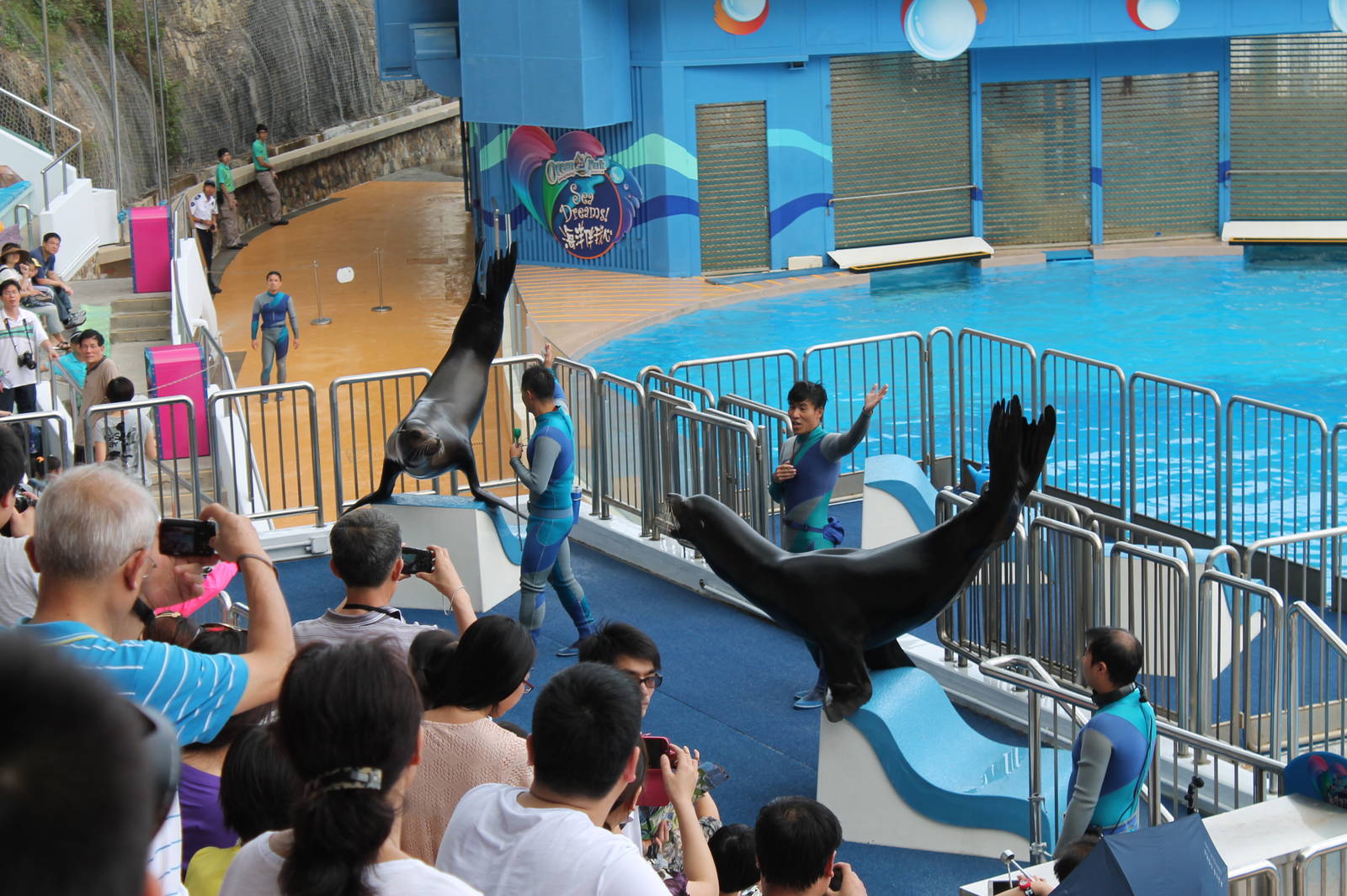 Sea Dreams Show - June 2013