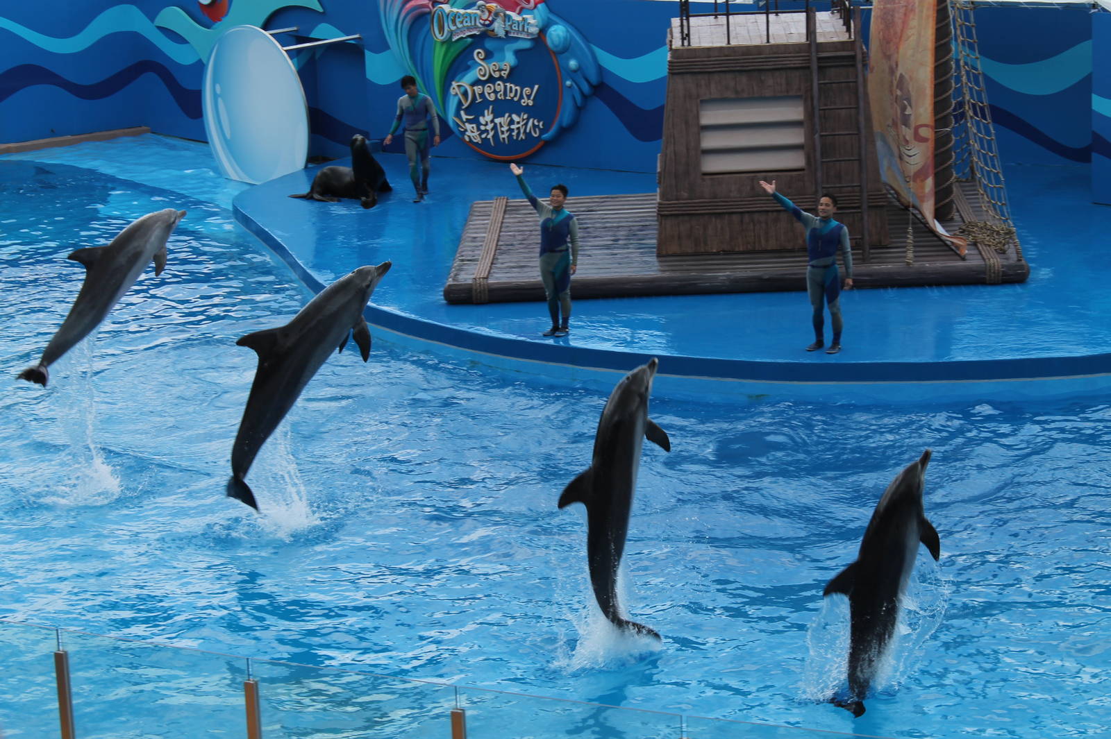 Sea Dreams Show - June 2013