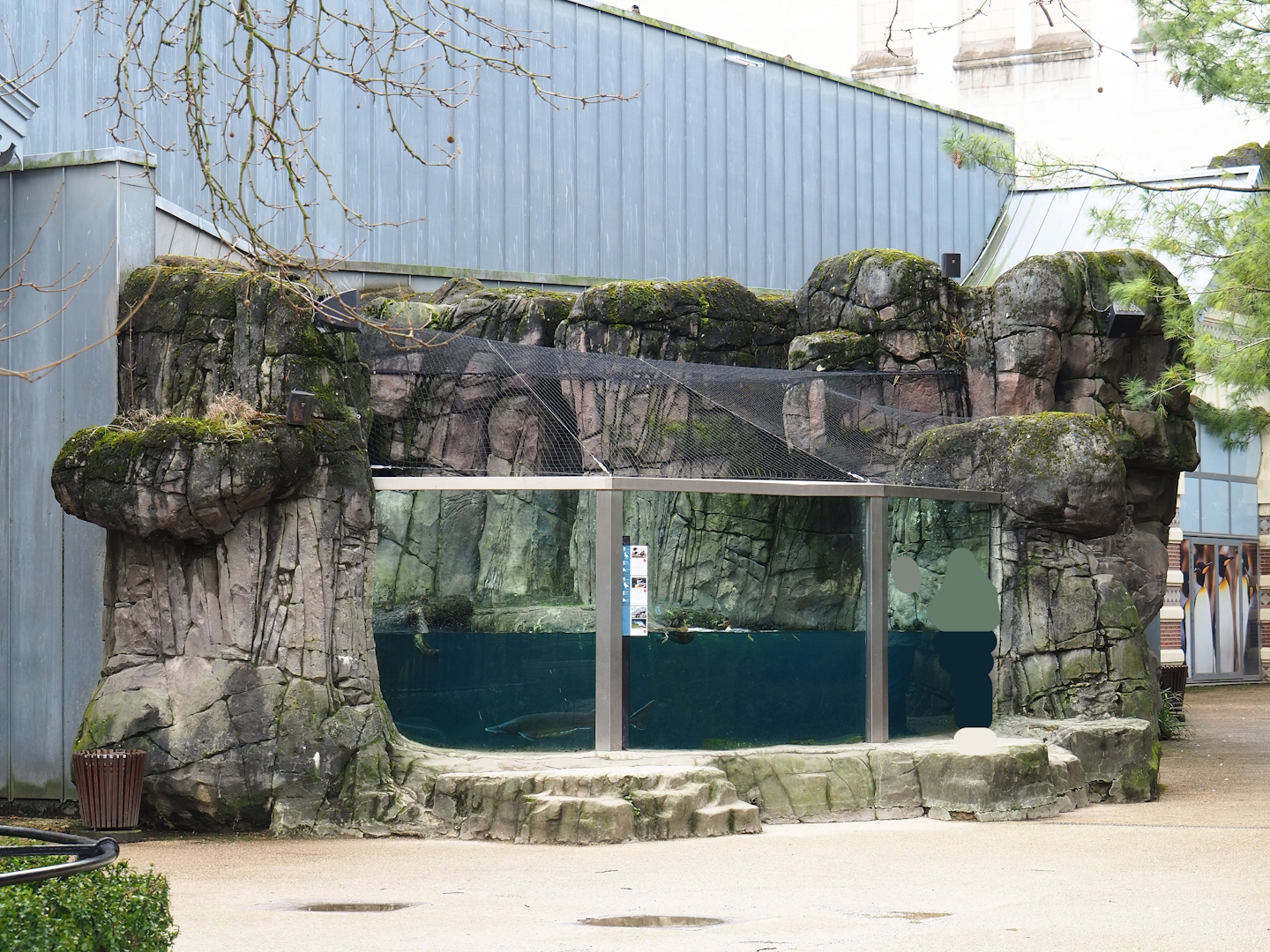 Sea duck and sturgeon exhibit, Former sea otter and harbor seal exhibit, 2024-02-17