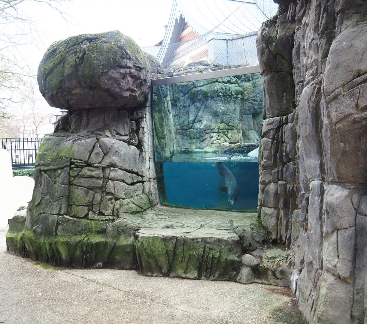 Sea duck and sturgeon exhibit, Former sea otter and harbor seal exhibit, 2024-02-17