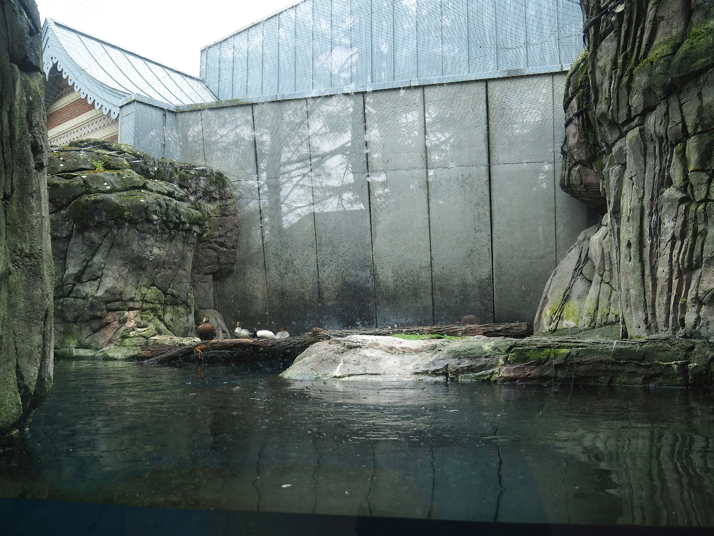 Sea duck and sturgeon exhibit, Former sea otter and harbor seal exhibit, 2024-02-17