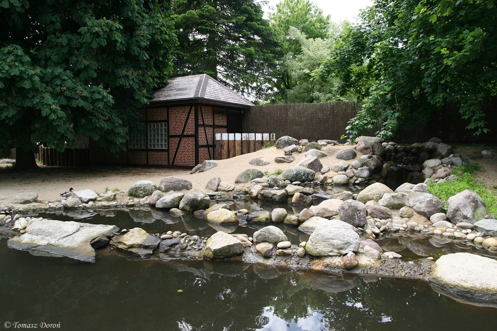 Sea-ducks enclosure - June 2012