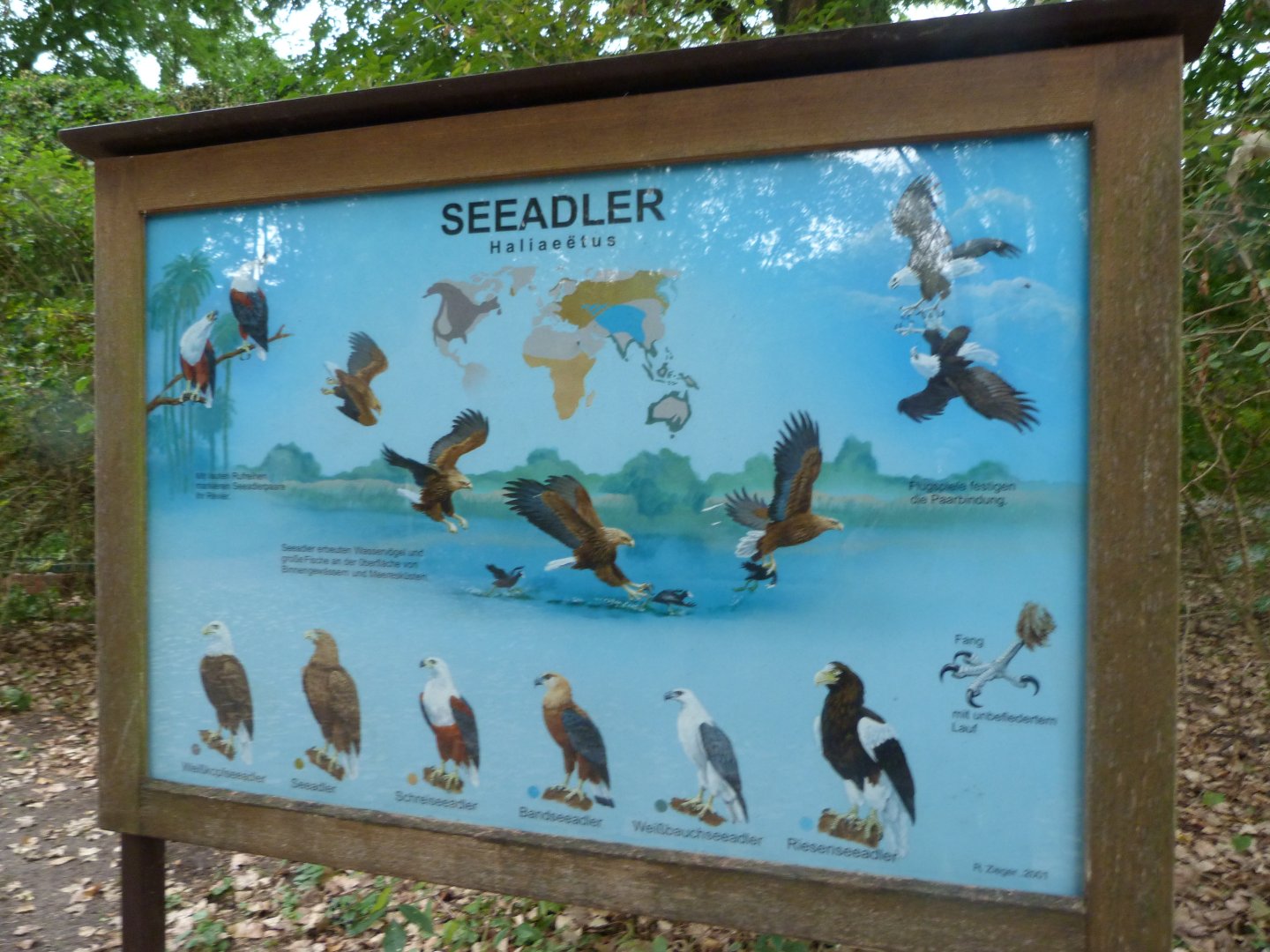 Sea eagles sign -Tierpark Berlin (2024)