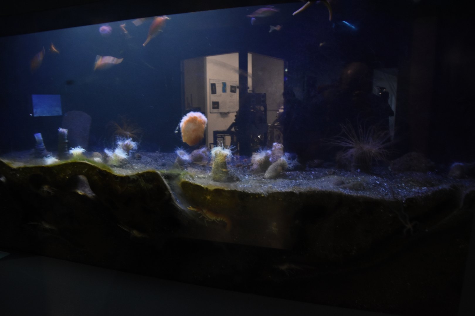 Sea floor tank