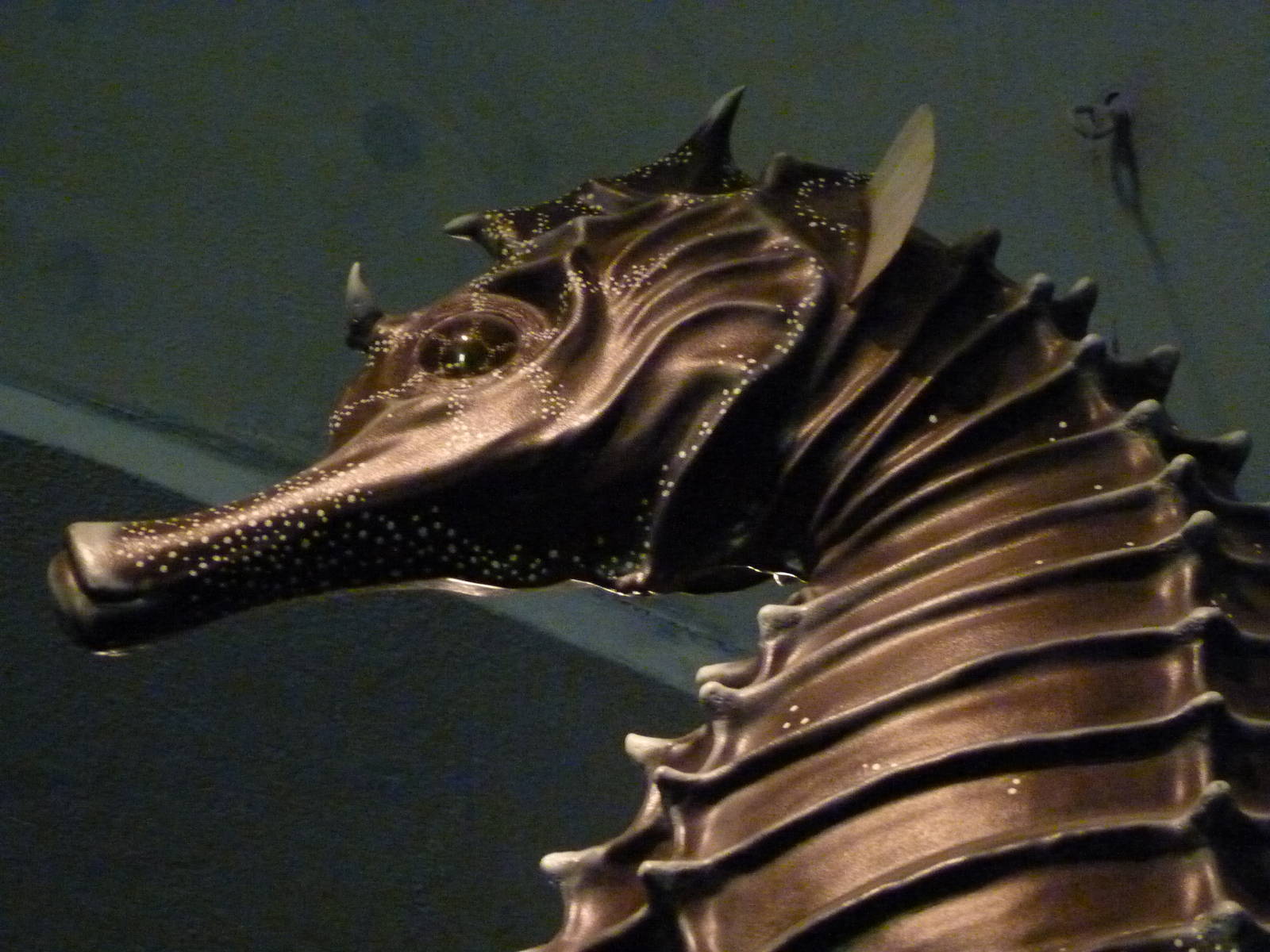 Sea Horse Sculpture 5-2-12