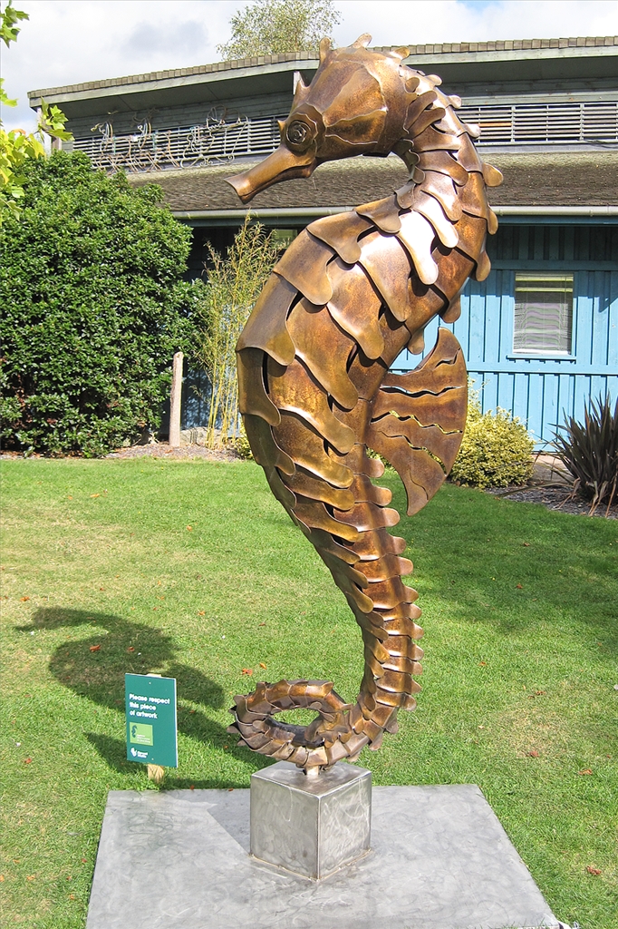 Sea Horse Sculpture