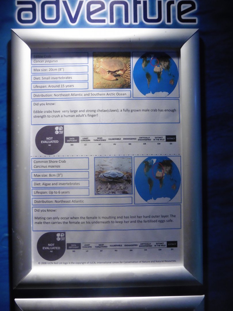 Sea Life Adventures Signage