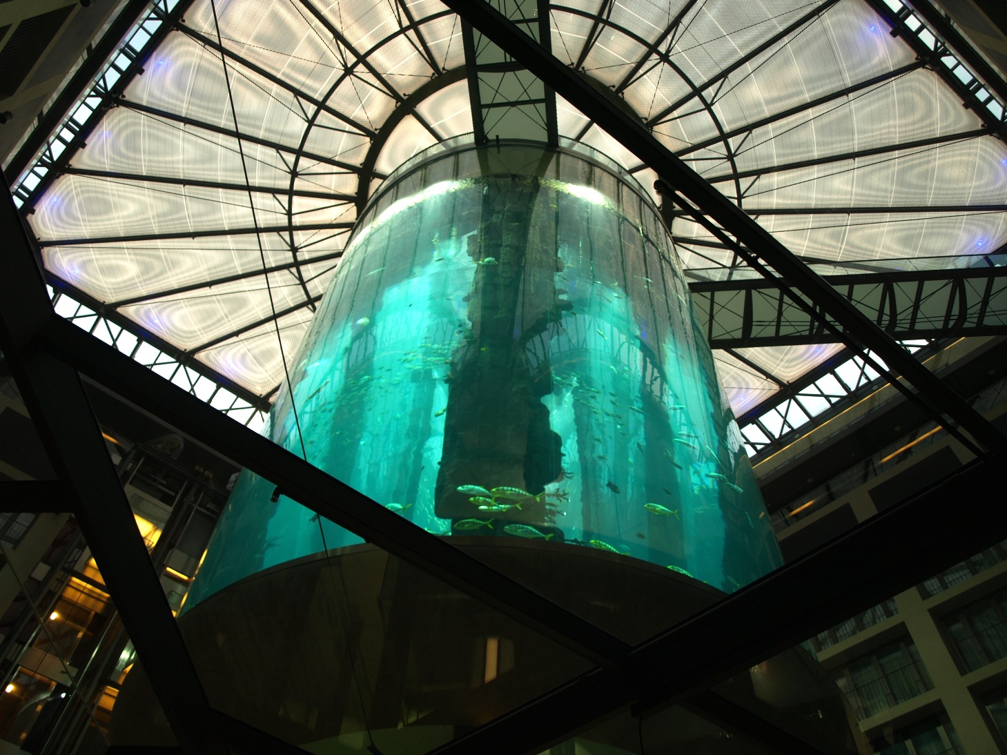 Sea Life Berlin - AquaDom