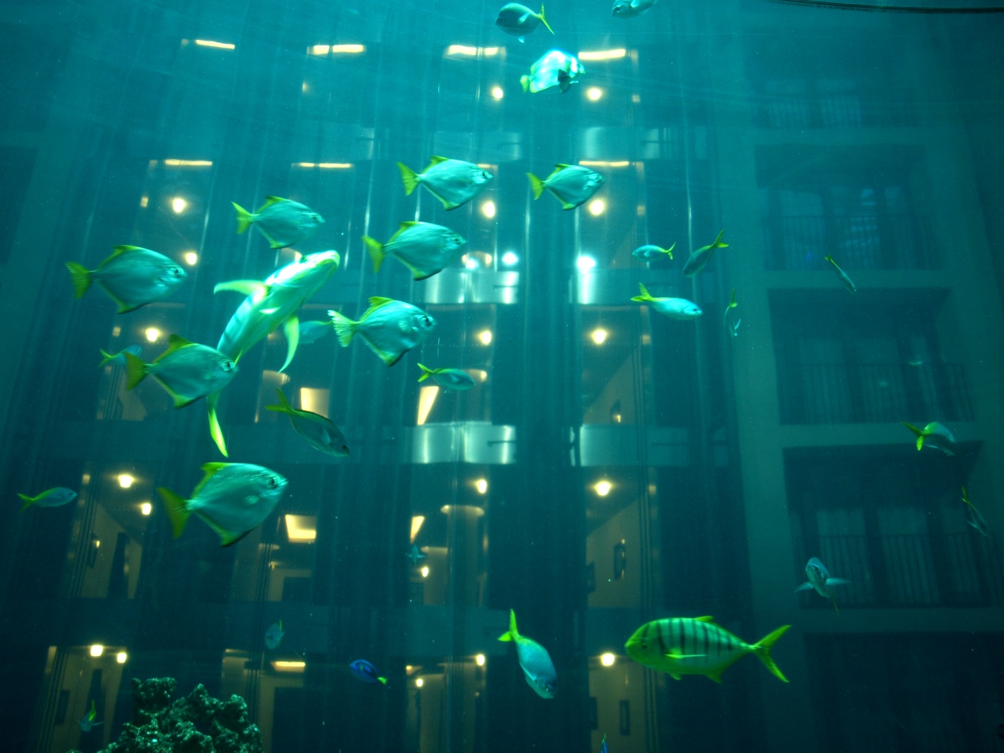 Sea Life Berlin -AquaDom