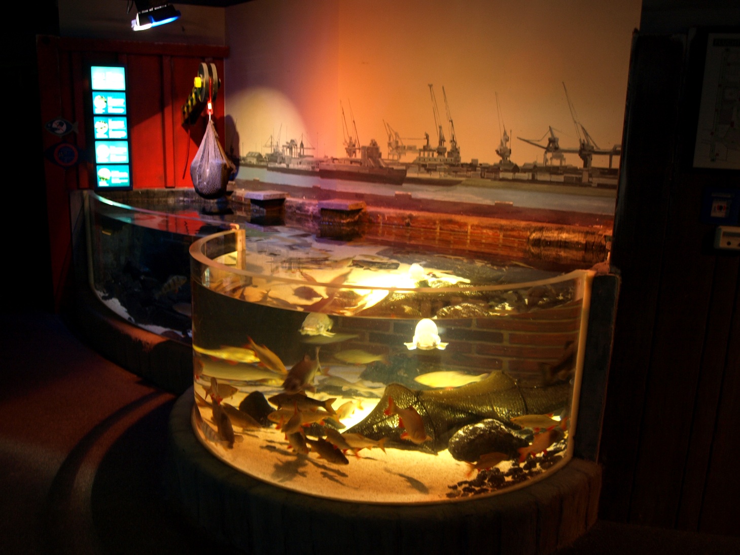 Sea Life Berlin - Hamburg Harbour