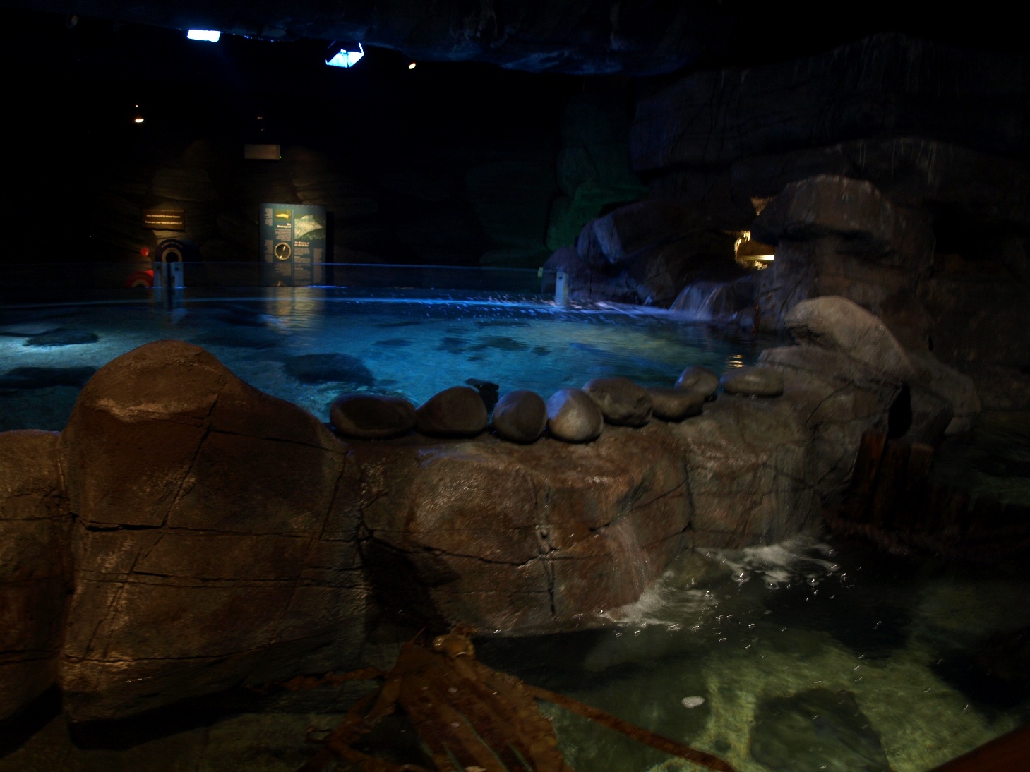 Sea Life Berlin -Ray Tank