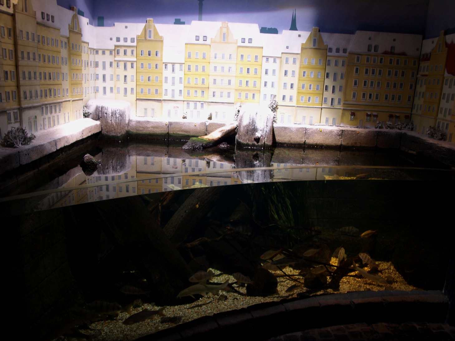 Sea Life Berlin - River Havel