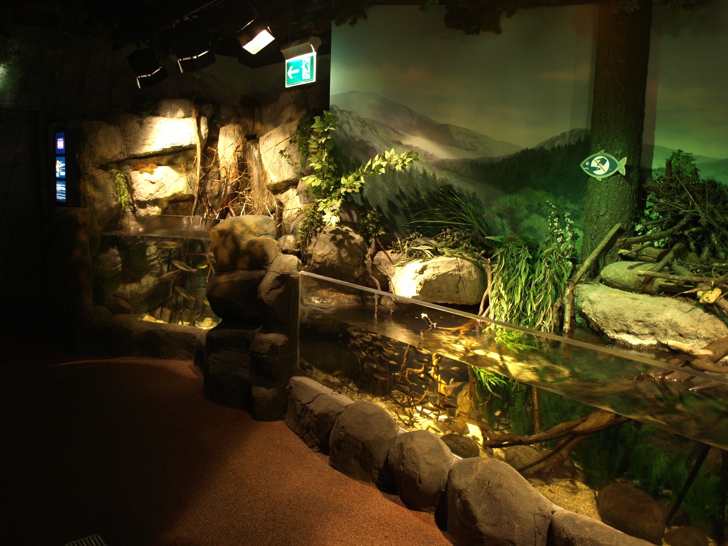 Sea Life Berlin - River Spree