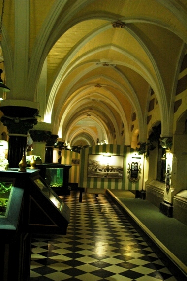 Sea Life Centre Brighton 2009