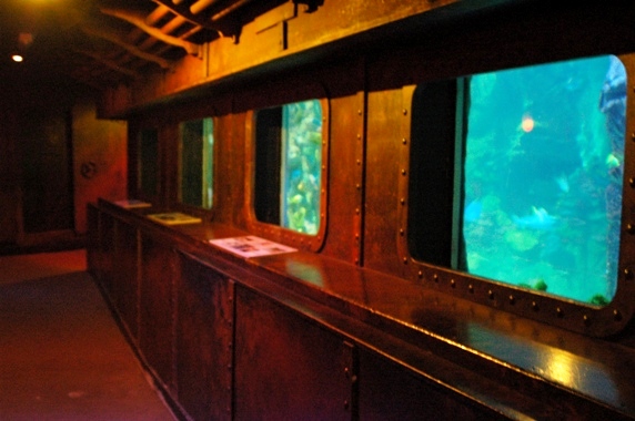 Sea Life Centre Brighton 2009