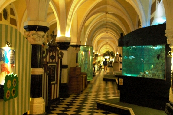 Sea Life Centre Brighton 2009