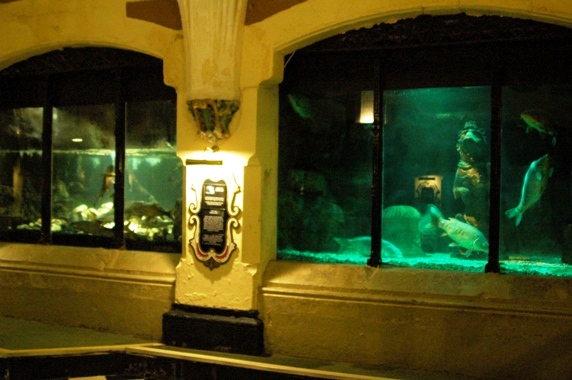 Sea Life Centre Brighton 2009