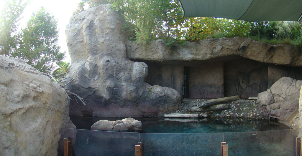 Sea Life Cliffs at the Los Angeles Zoo