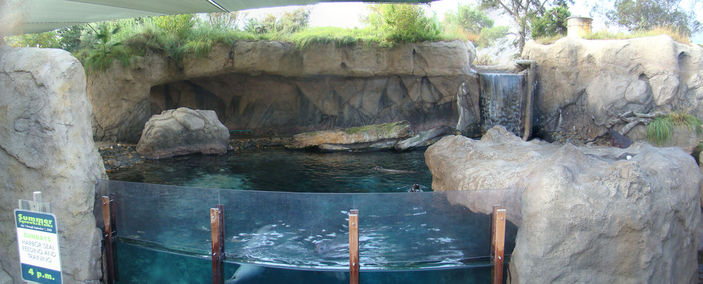 Sea Life Cliffs at the Los Angeles Zoo