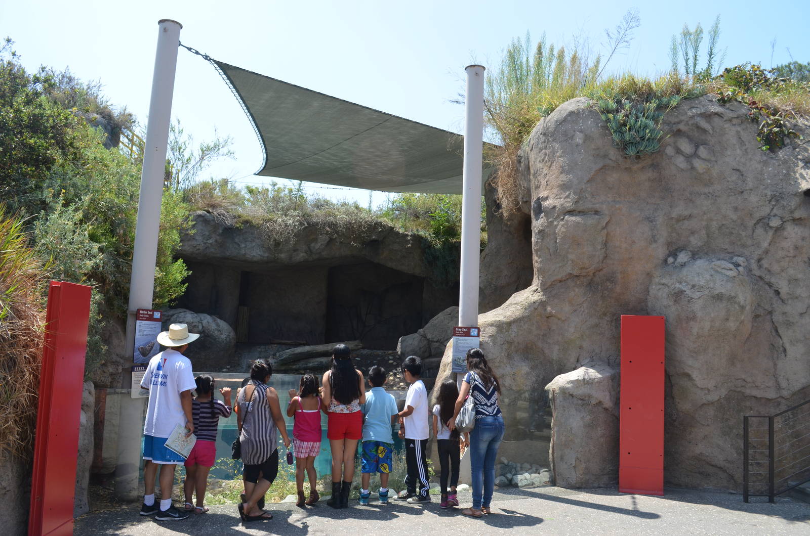 Sea Life Cliffs - Second Terrace