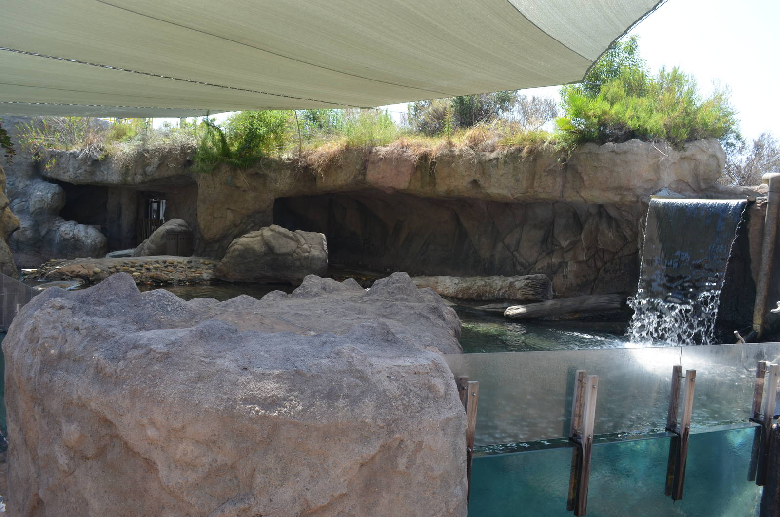 Sea Life Cliffs - Third Terrace