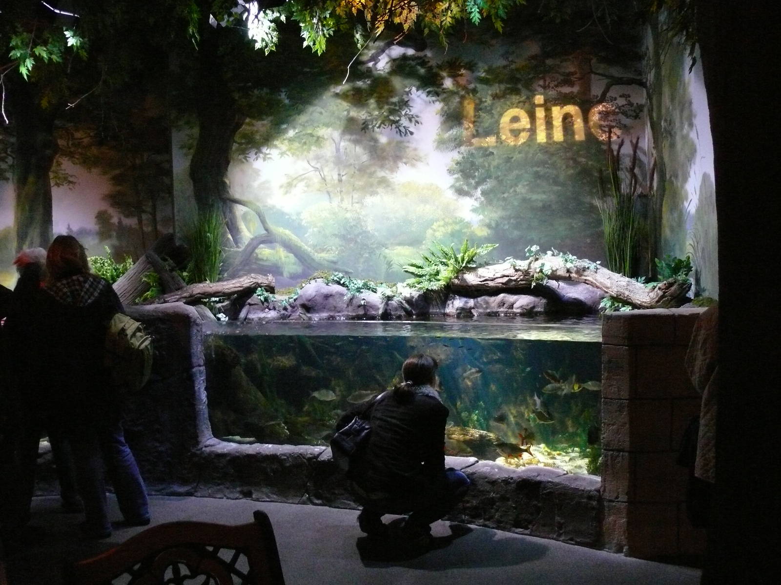 Sea Life Hannover September 2007