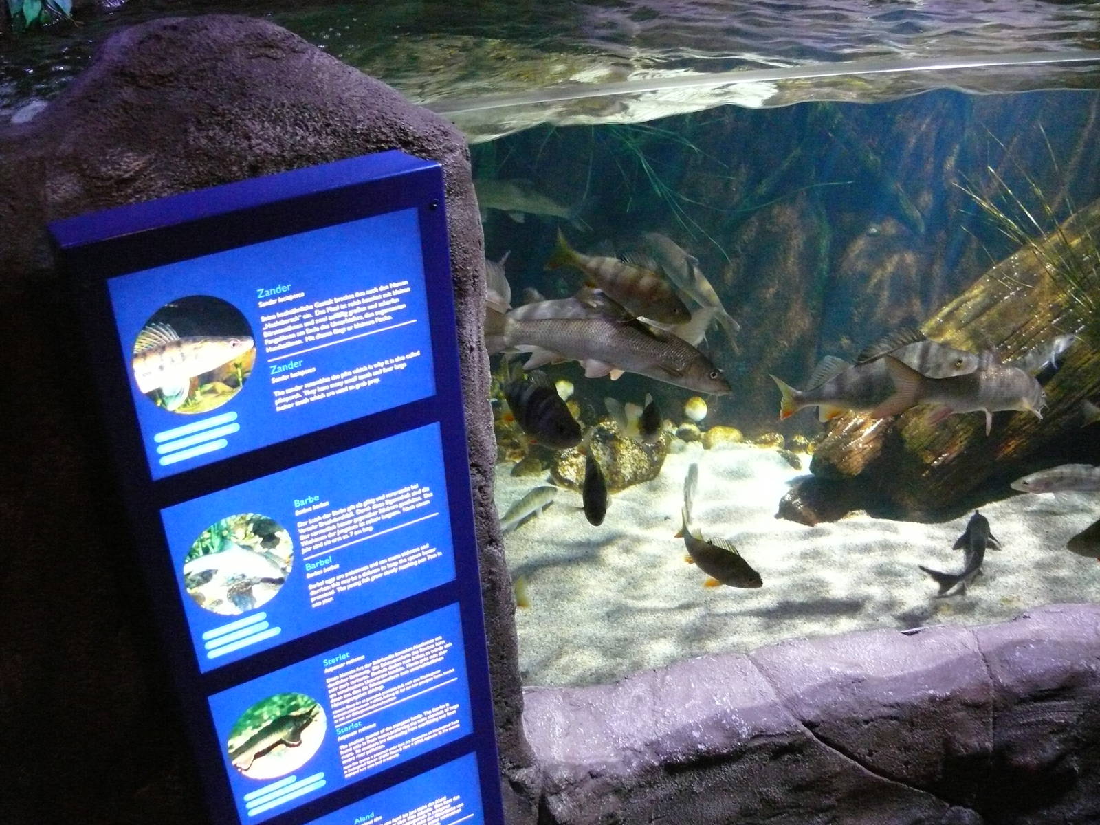 Sea Life Hannover September 2007